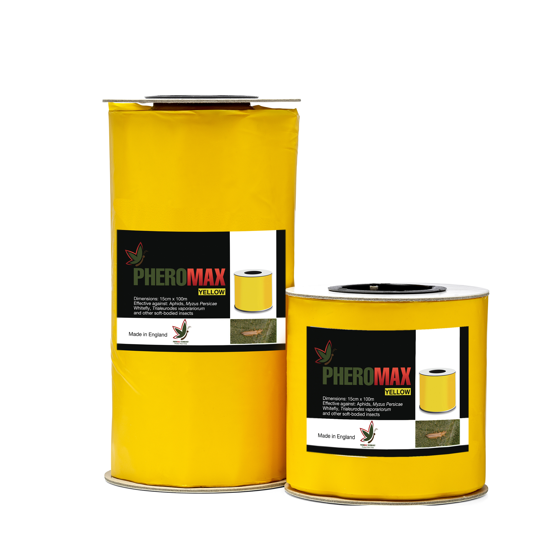 Pheromax Yellow Rolls